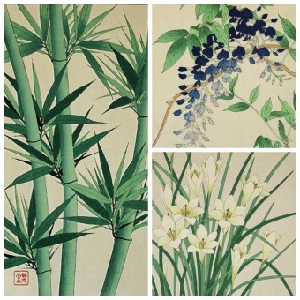 Japanese Woodblock Print - Shin Hanga, Animals and Plants, Kawarazaki SHÔDÔ