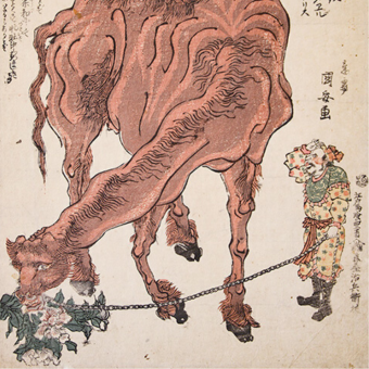 Utagawa KUNIYASU (1794-1832)