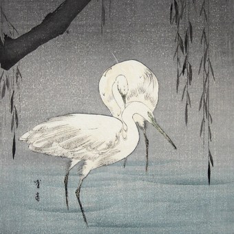  Watanabe SEITEI (1851–1918)