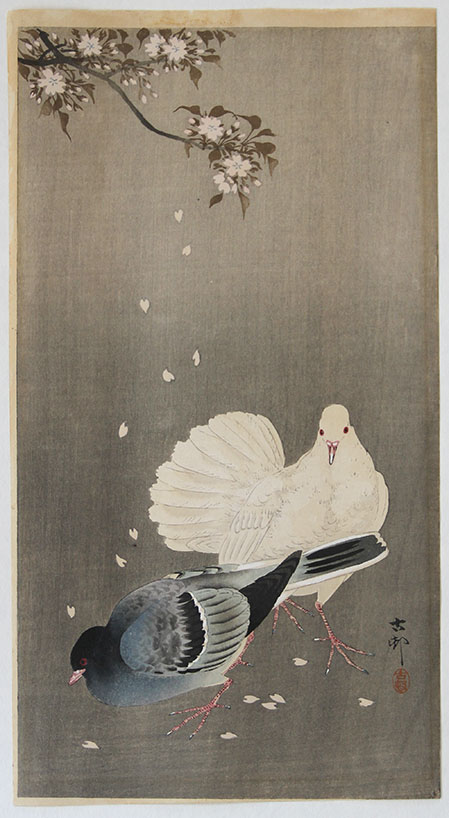 Ohara KOSON Two Pigeons sitting between falling Cherry Blossoms