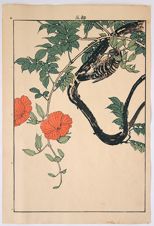 Imao KEINEN Woodpecker with orange Blossom