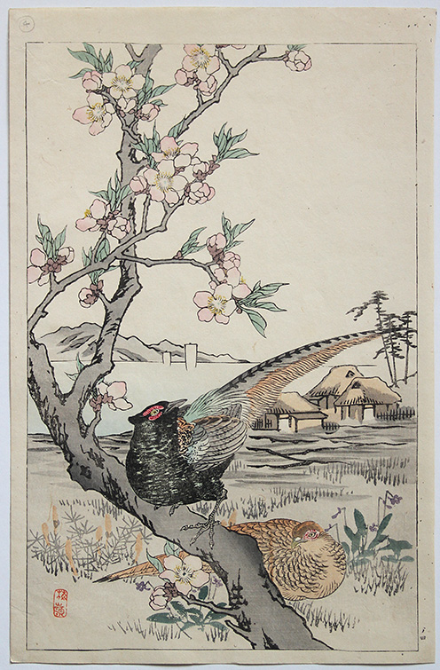 Kono BAIREI (1844 - 1894) Kacho-e (Bird Picture)