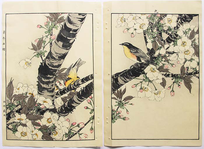 Imao KEINEN Two Yellow-breasted Birds on a Cherry Tree