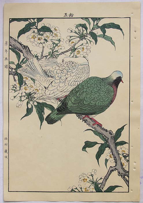 Imao KEINEN Turtle-doves on blooming Branch