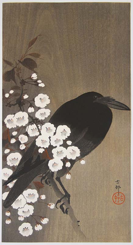 Ohara KOSON Crow resting on a banch between flowers
