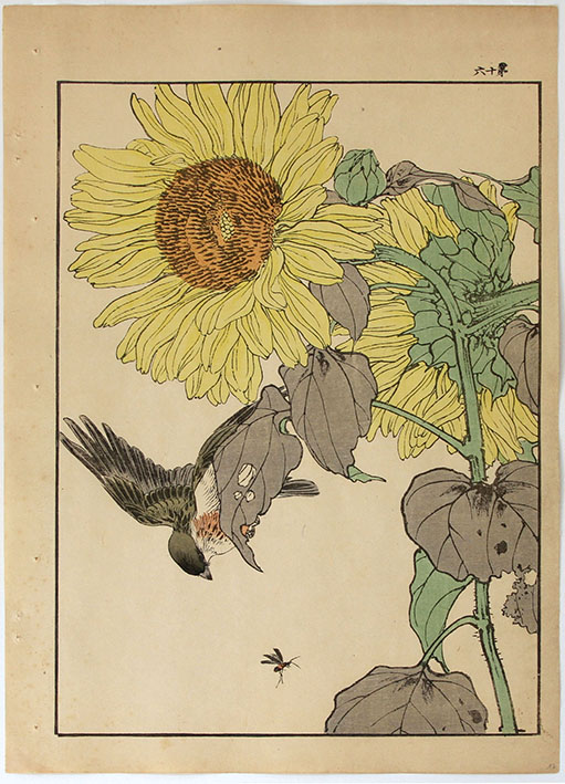 Imao KEINEN (1845-1924) Bird and Sunflower