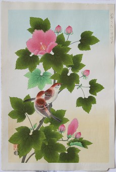 Ashikaga SHIZUO Sparrows and Hibiscus
