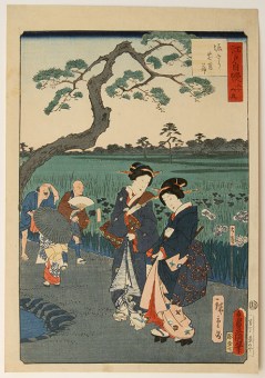 hiroshige II and Kunisada Horikiri Hanashôbu (Water Lilies in Horikiri)