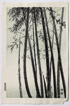 Eiichi KOTOZUKA Bamboo
