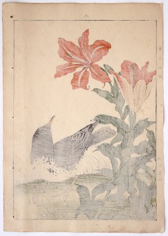 Imao KEINEN Bird with red Flower