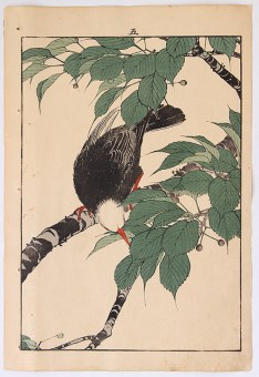 Imao KEINEN Bird on a Cherry Tree