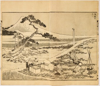 Katsushika HOKUSAI Shashin no Fuji (Drawing Fuji from Life)