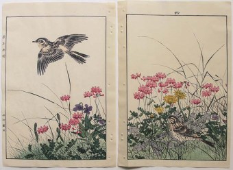 Imao KEINEN Skylarks and Spring Meadow Flowers