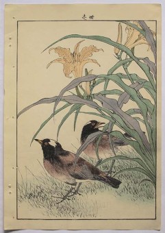 Imao KEINEN Two birds with Lilies