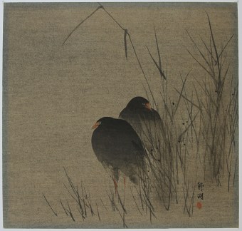 Artist unknown Two moorhens in the reeds