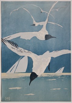 Hanns NEUMANN Seagulls (Möwen)