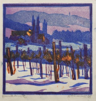 August TRUMMER Vineyard at Winter
